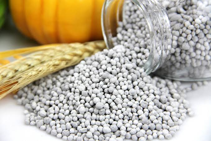 Diammonium Phosphate (DAP)