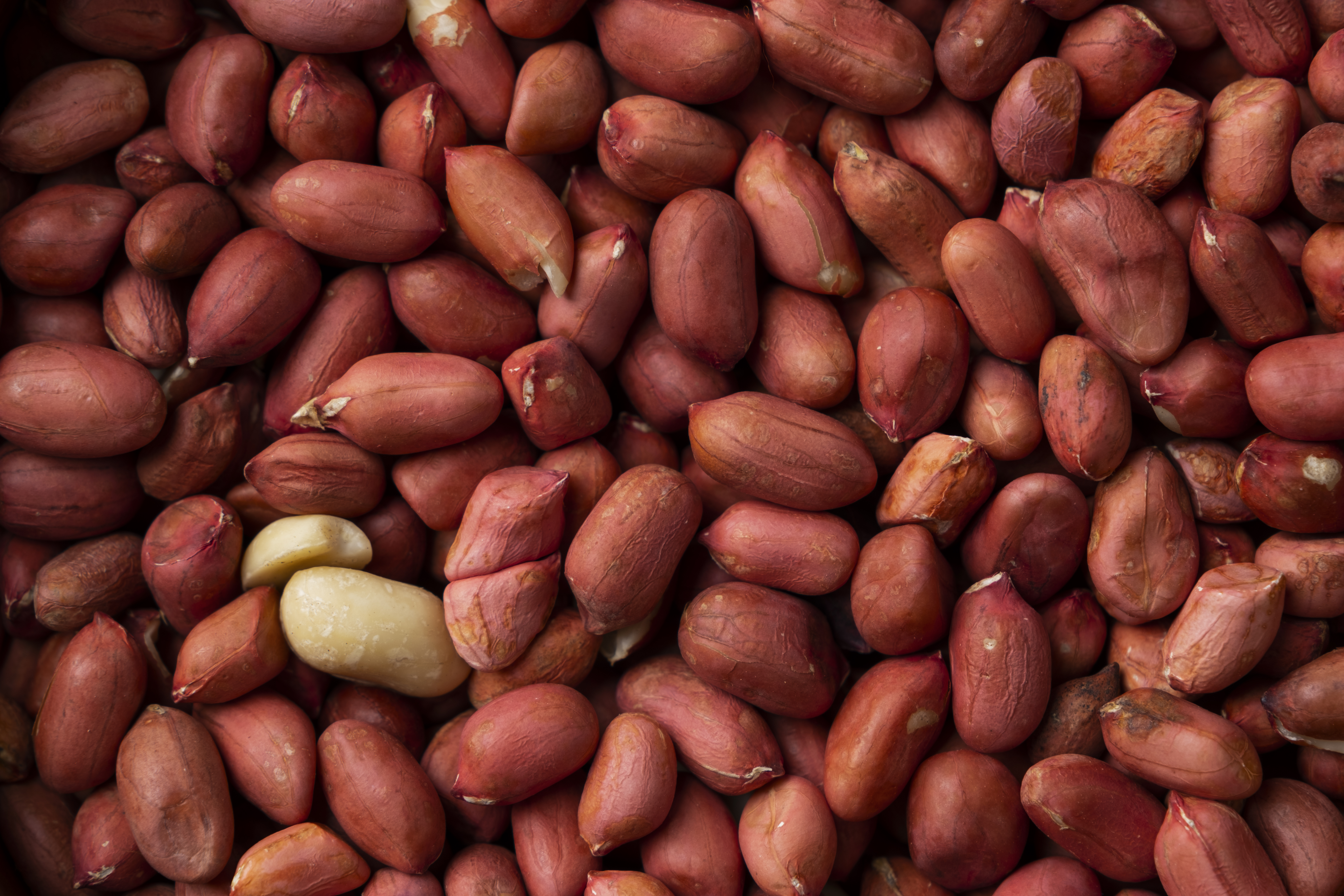 Peanuts
